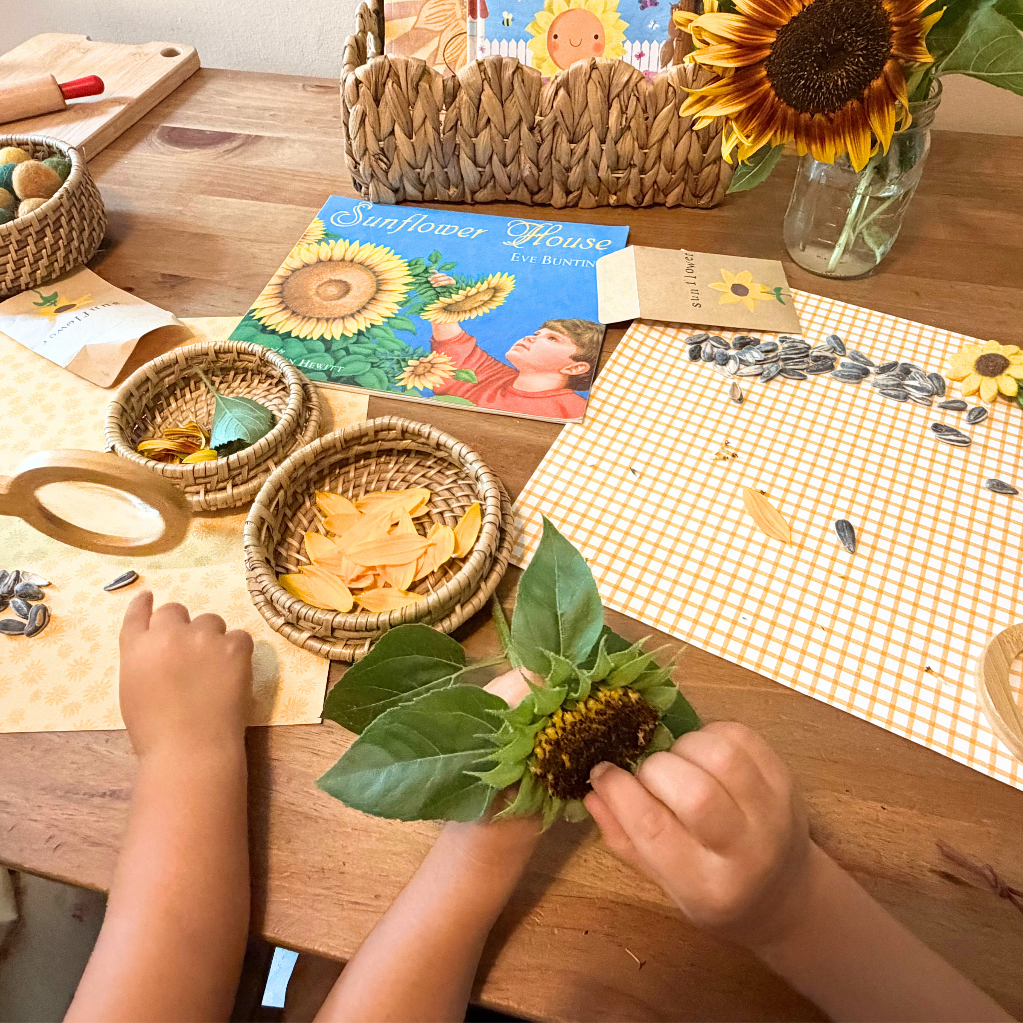 The Wonder Continues: The Sunflower House