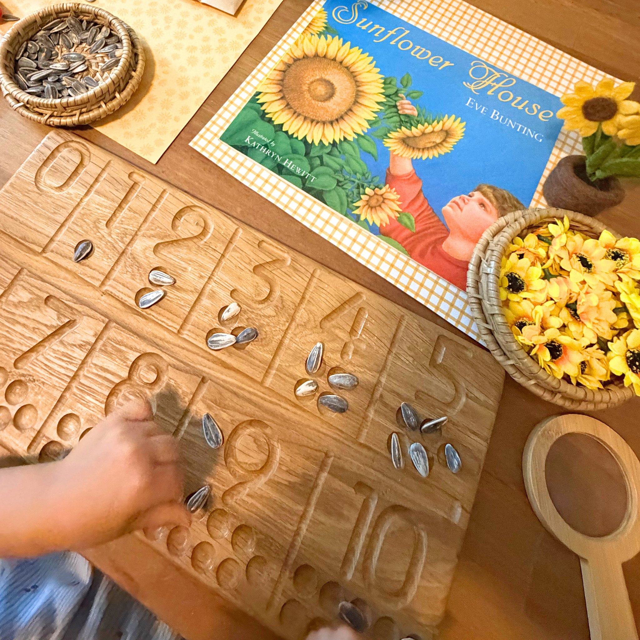 The Wonder Continues: The Sunflower House