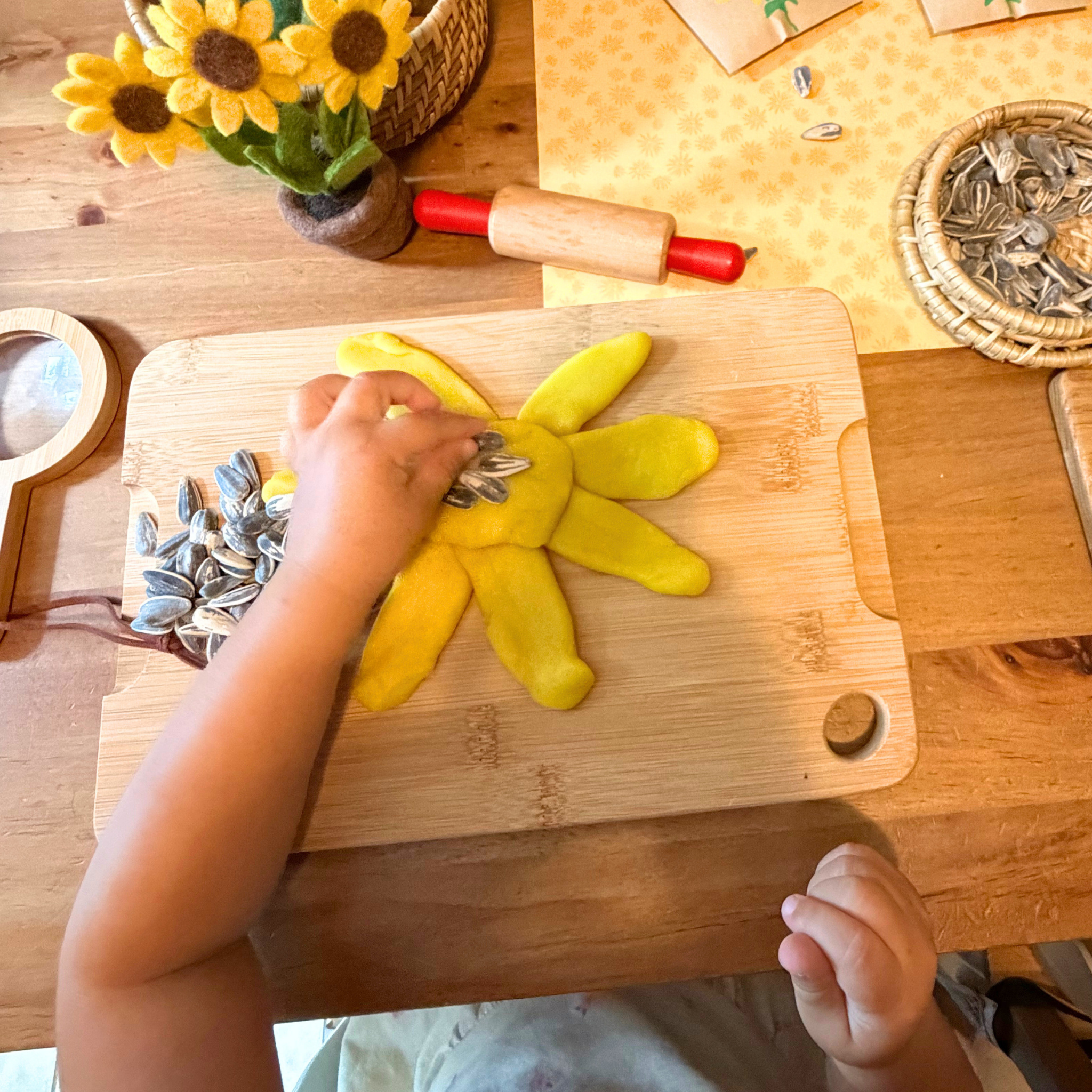 The Wonder Continues: The Sunflower House