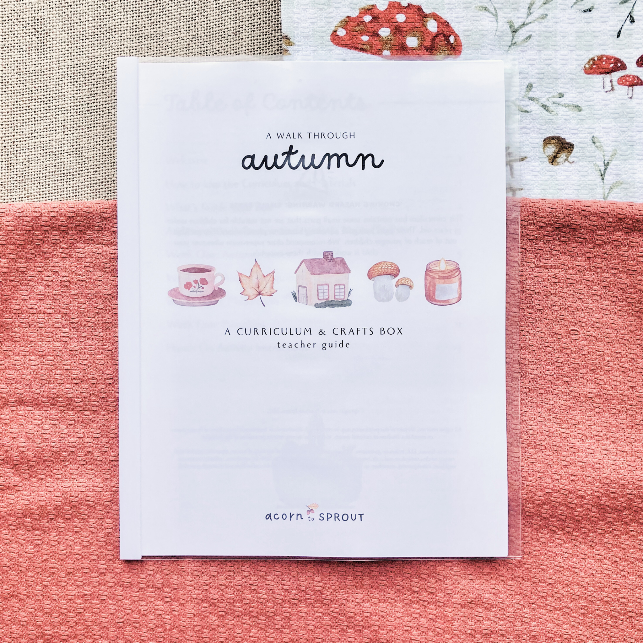 Fall-themed preschool curriculum box with crafts, storybook, and homeschool activities for ages 3–6