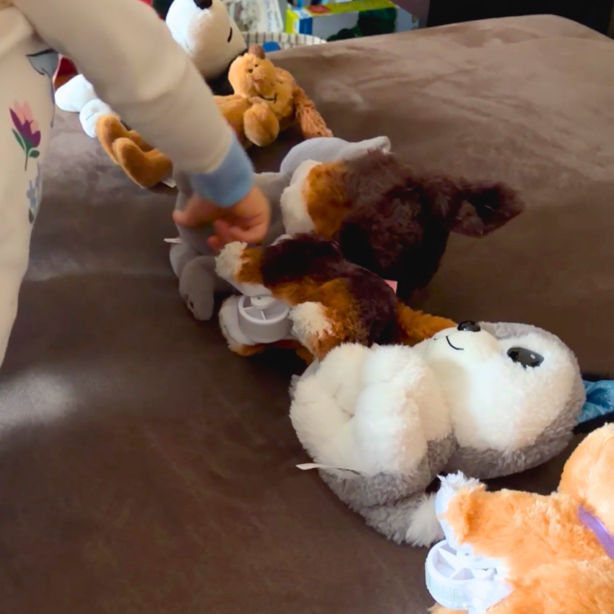 Child counting stuffed dogs during pretend play inspired by Harry the Dirty Dog.