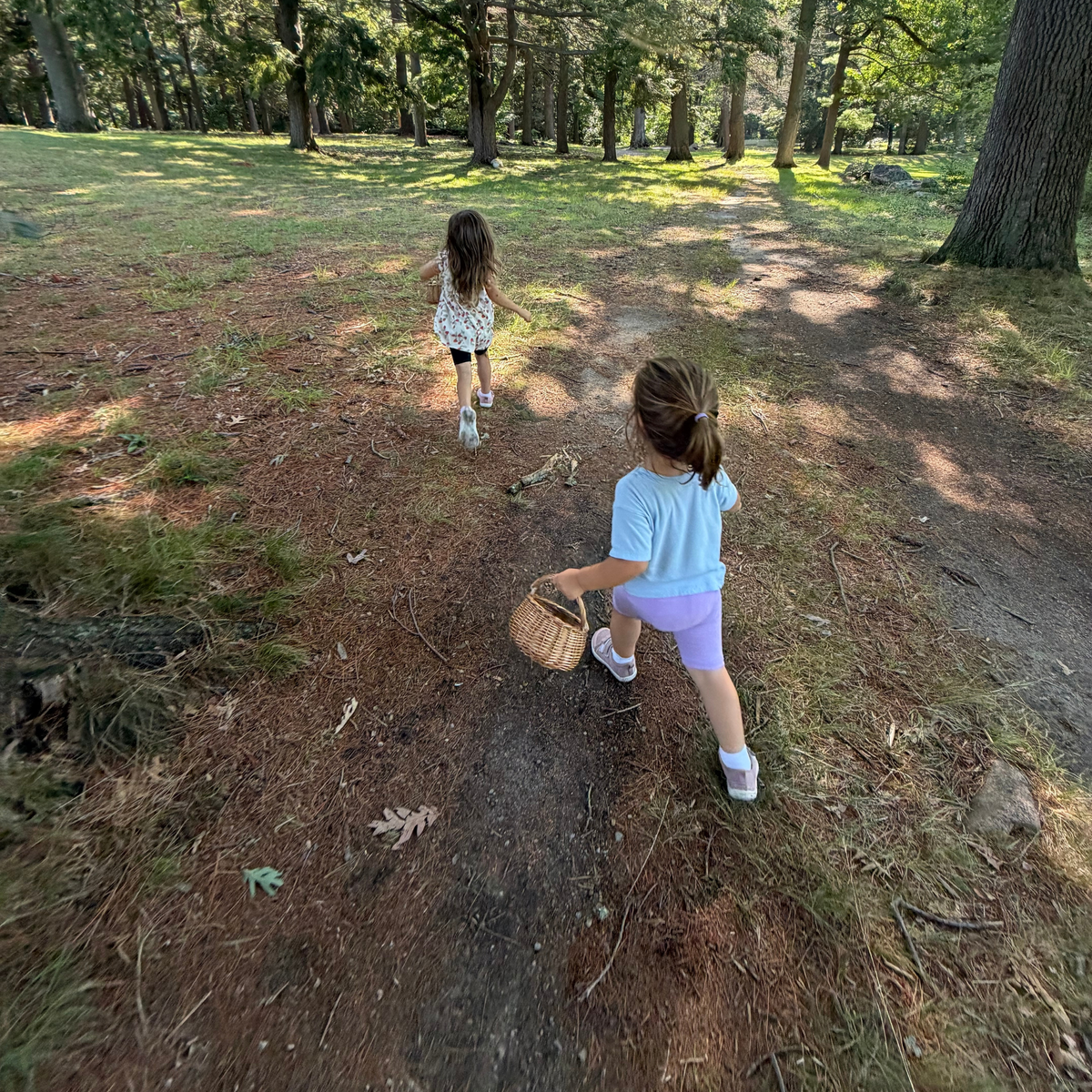 Two young children walking through the woods with a basket during an outdoor learning adventure.