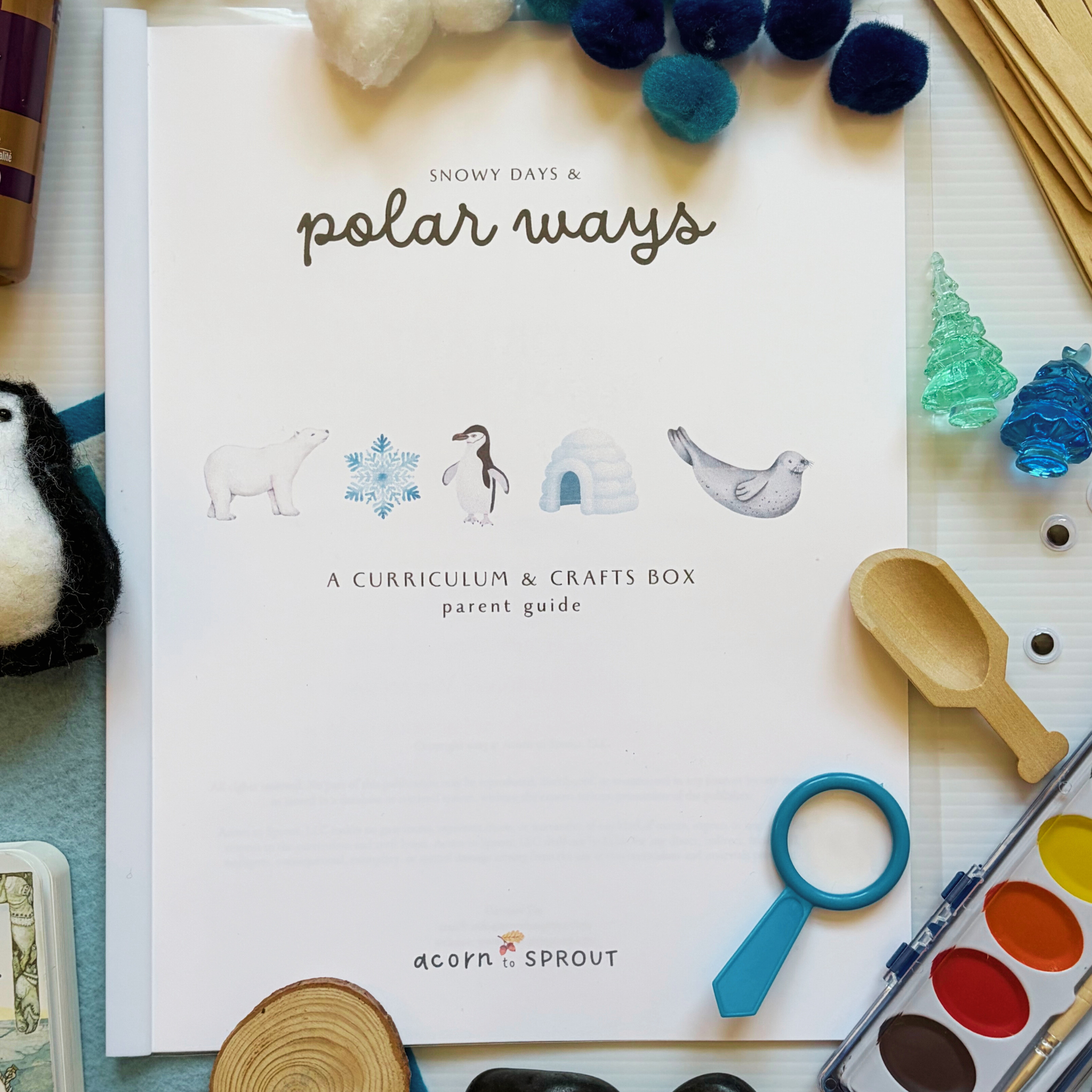 Flat lay of the Snowy Days & Polar Ways preschool curriculum box showing The Three Snow Bears book, parent guide, crafts, sensory materials, and learning activities for ages 3–6.
