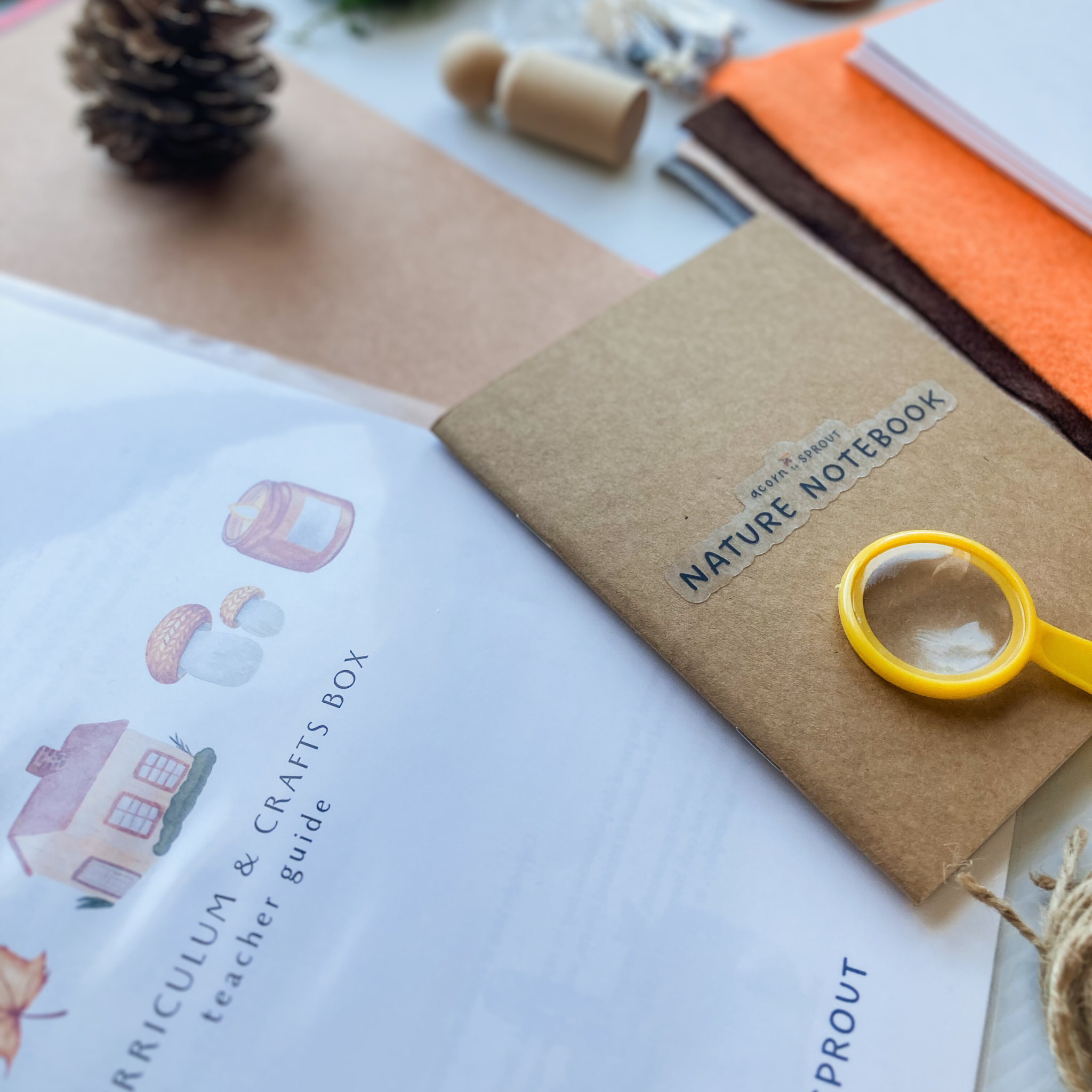 Nature-inspired autumn homeschool box with seasonal crafts and sensory play