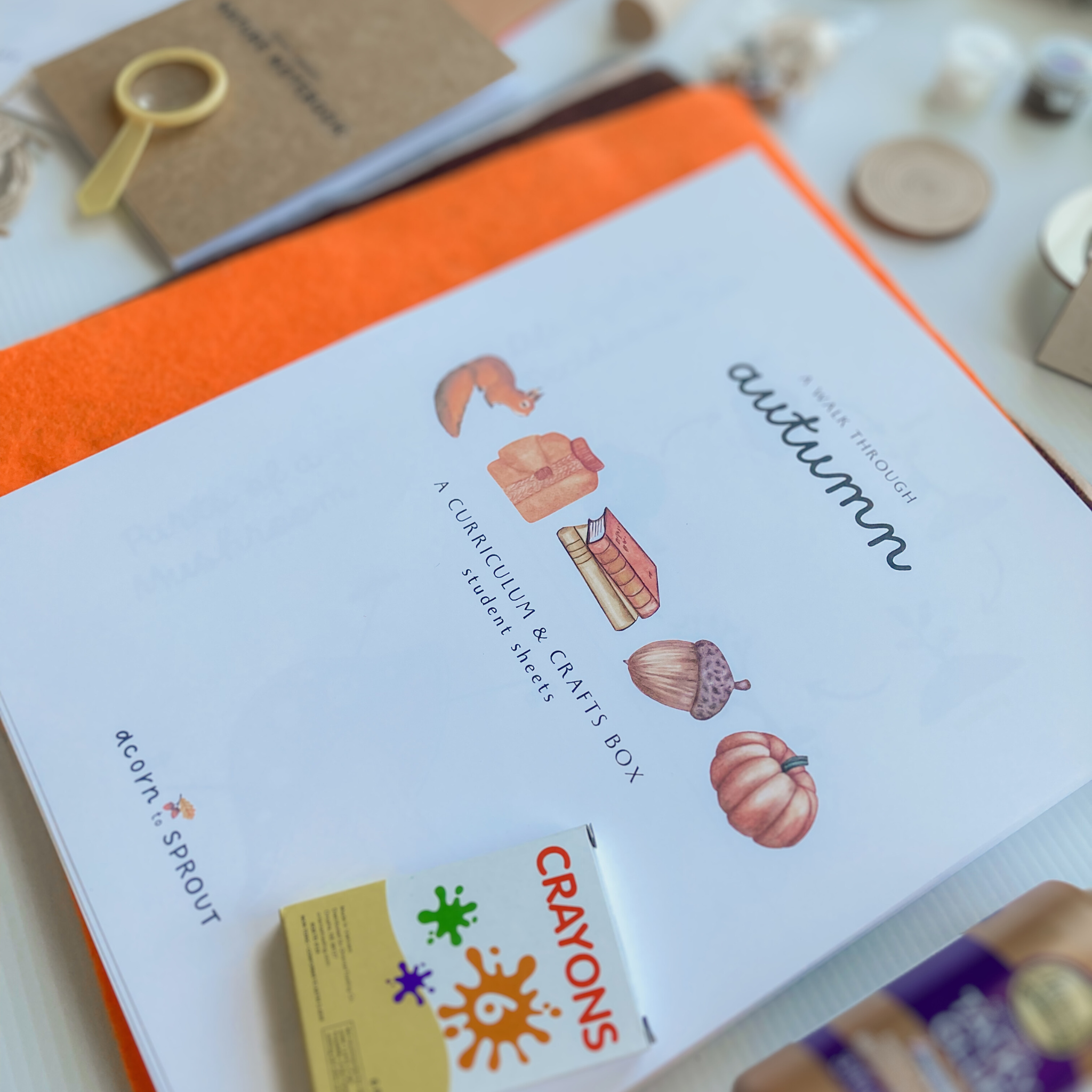 Acorn to Sprout A Walk Through Autumn homeschool curriculum and craft box for kids ages 3–6