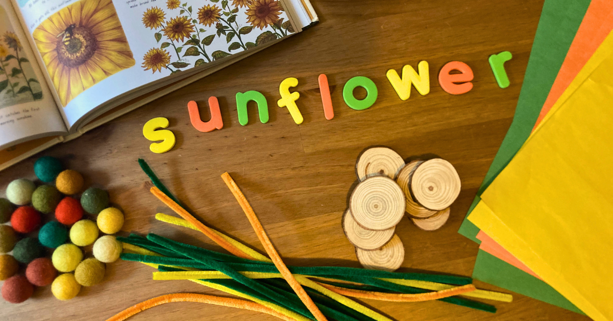 Discover 5 gentle sunflower activities for preschoolers, including sensory play, process art, and hands-on learning for a joyful, seasonal week.