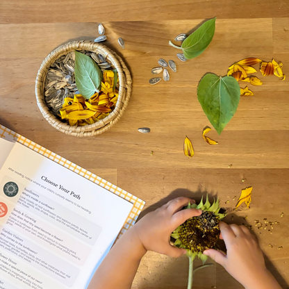 The Wonder Continues: The Sunflower House