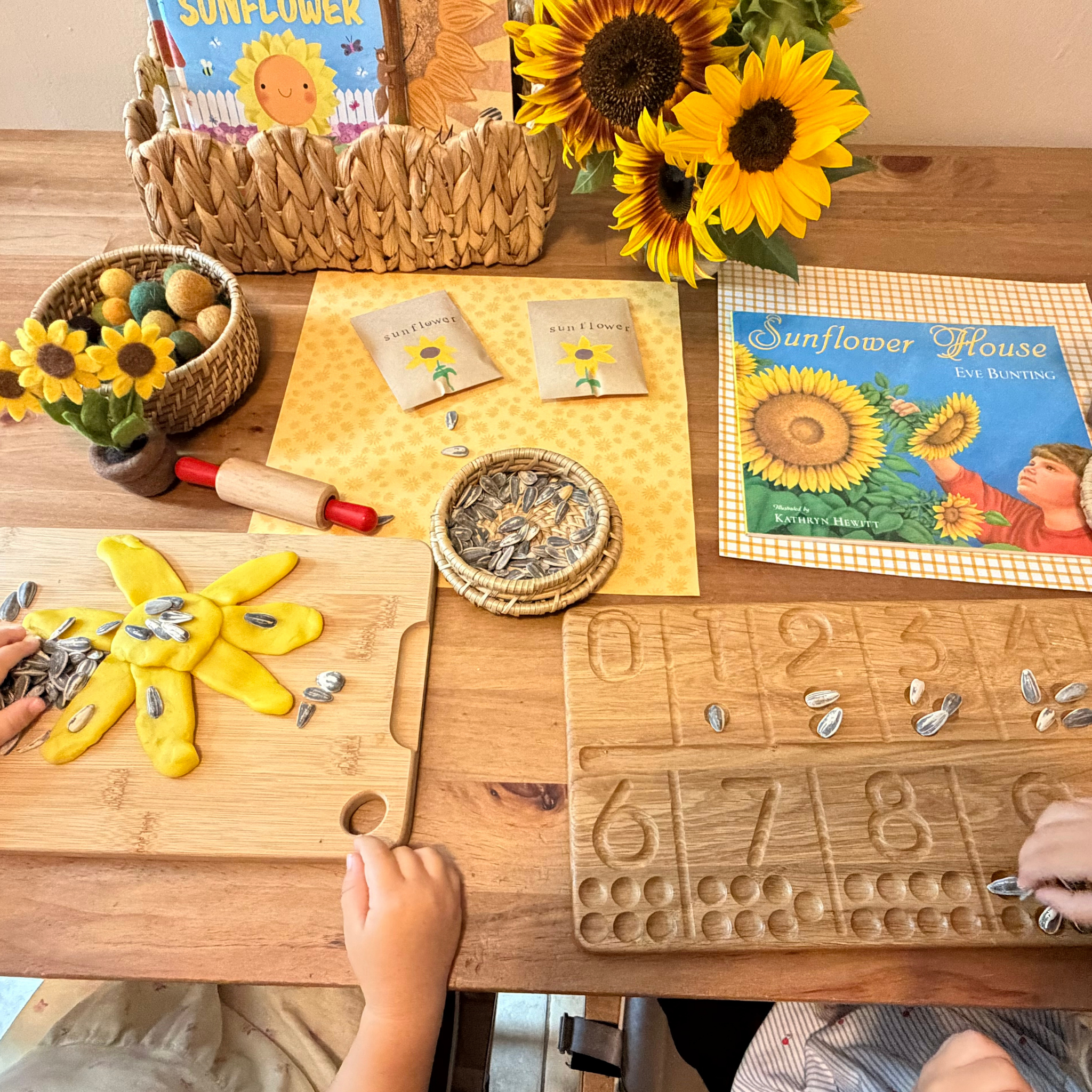 The Wonder Continues: The Sunflower House