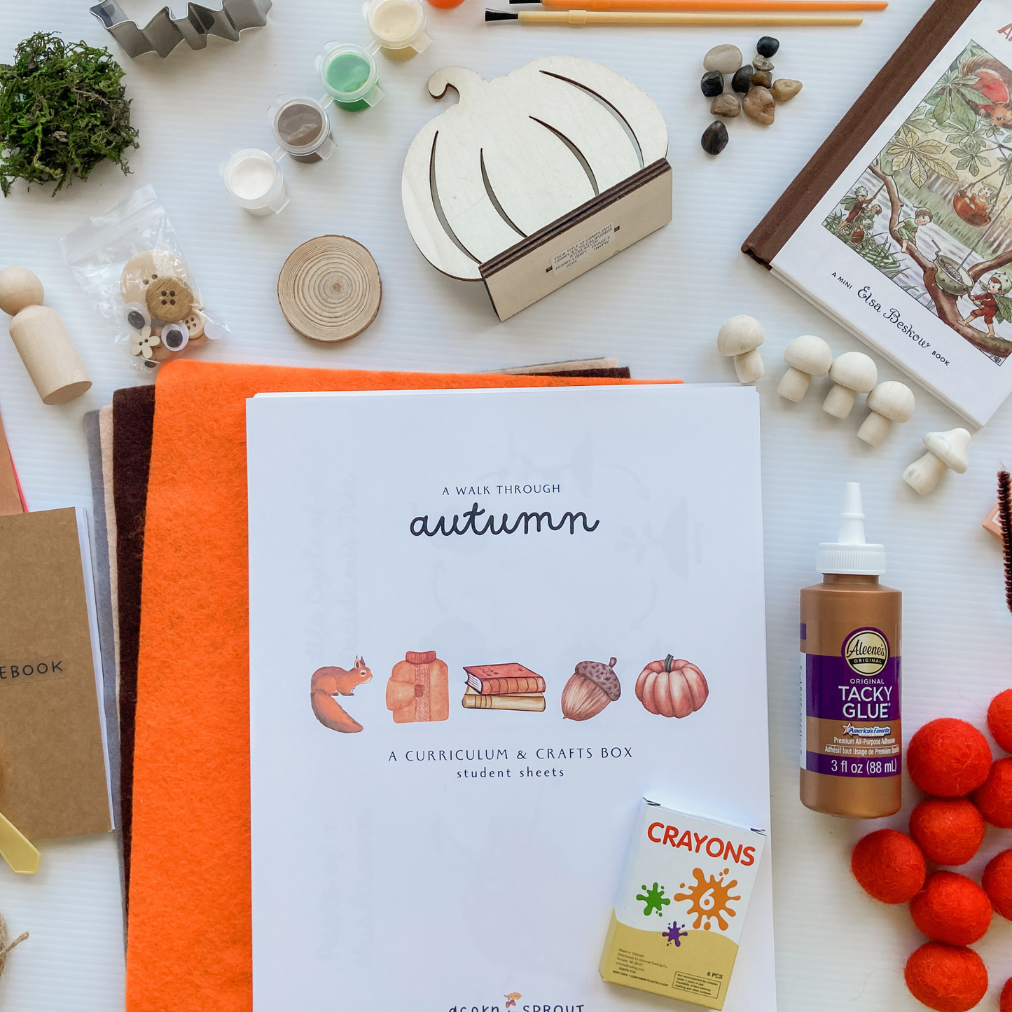 A Walk Through Autumn: A Month-Long Curriculum and Craft Box