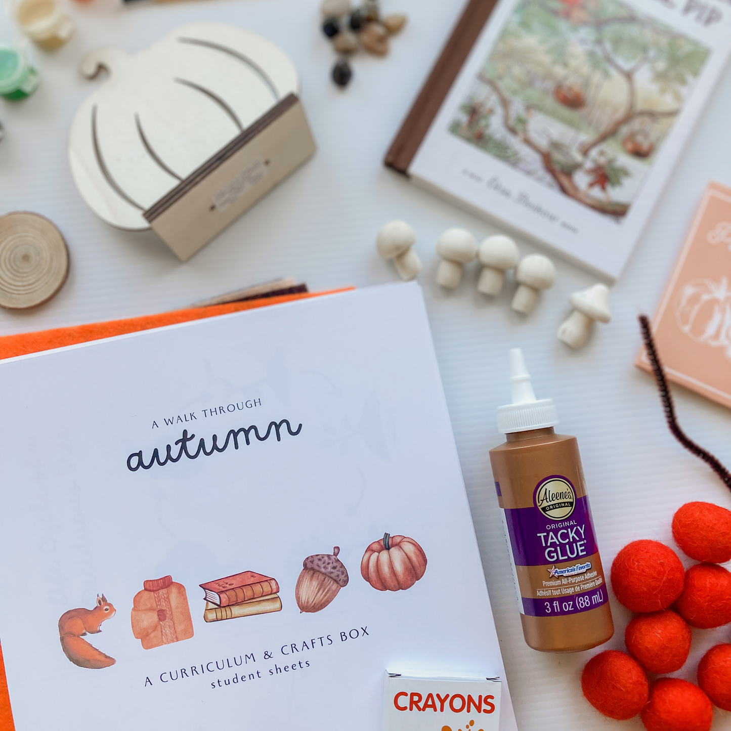 A Walk Through Autumn: A Month-Long Curriculum and Craft Box