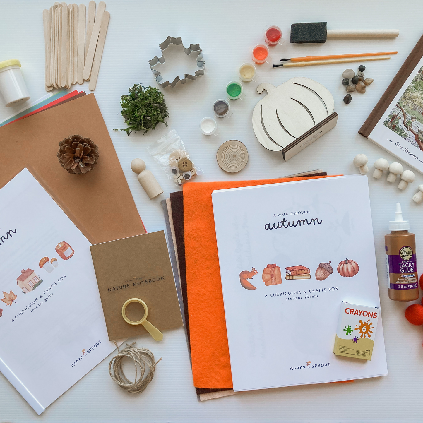 A Walk Through Autumn: A Month-Long Curriculum and Craft Box