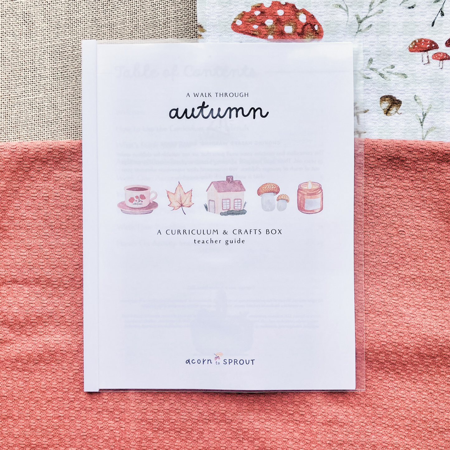 A Walk Through Autumn: A Month-Long Curriculum and Craft Box