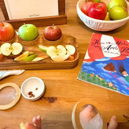 Preschool apple investigation inspired by How to Make an Apple Pie and See the World with sliced apples, seeds, magnifying glass, and picture book
