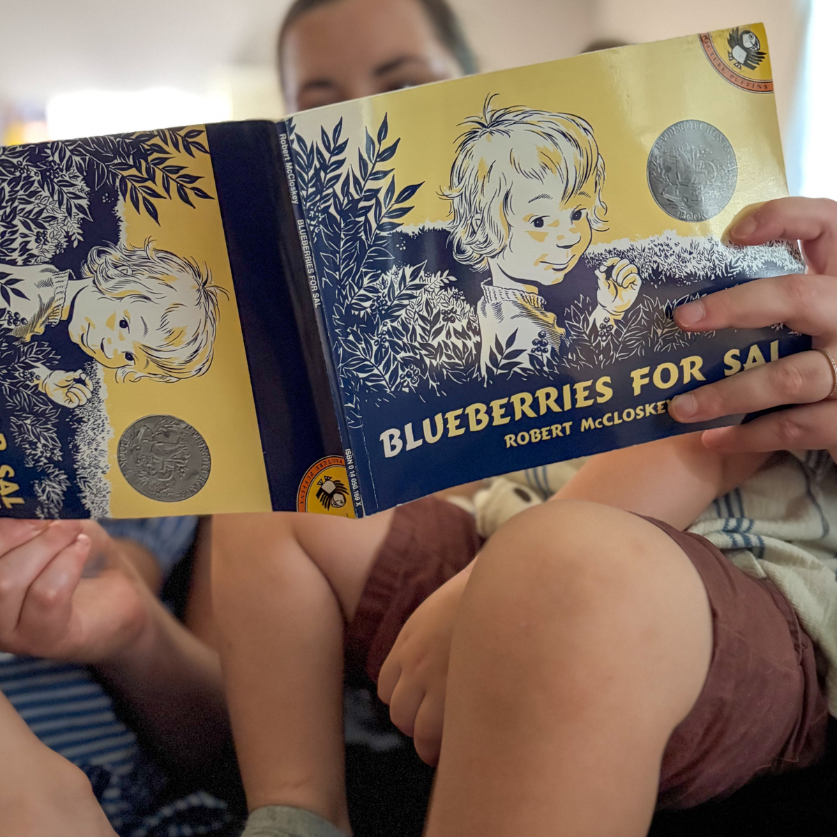 Parent reading Blueberries for Sal by Robert McCloskey with two young children.