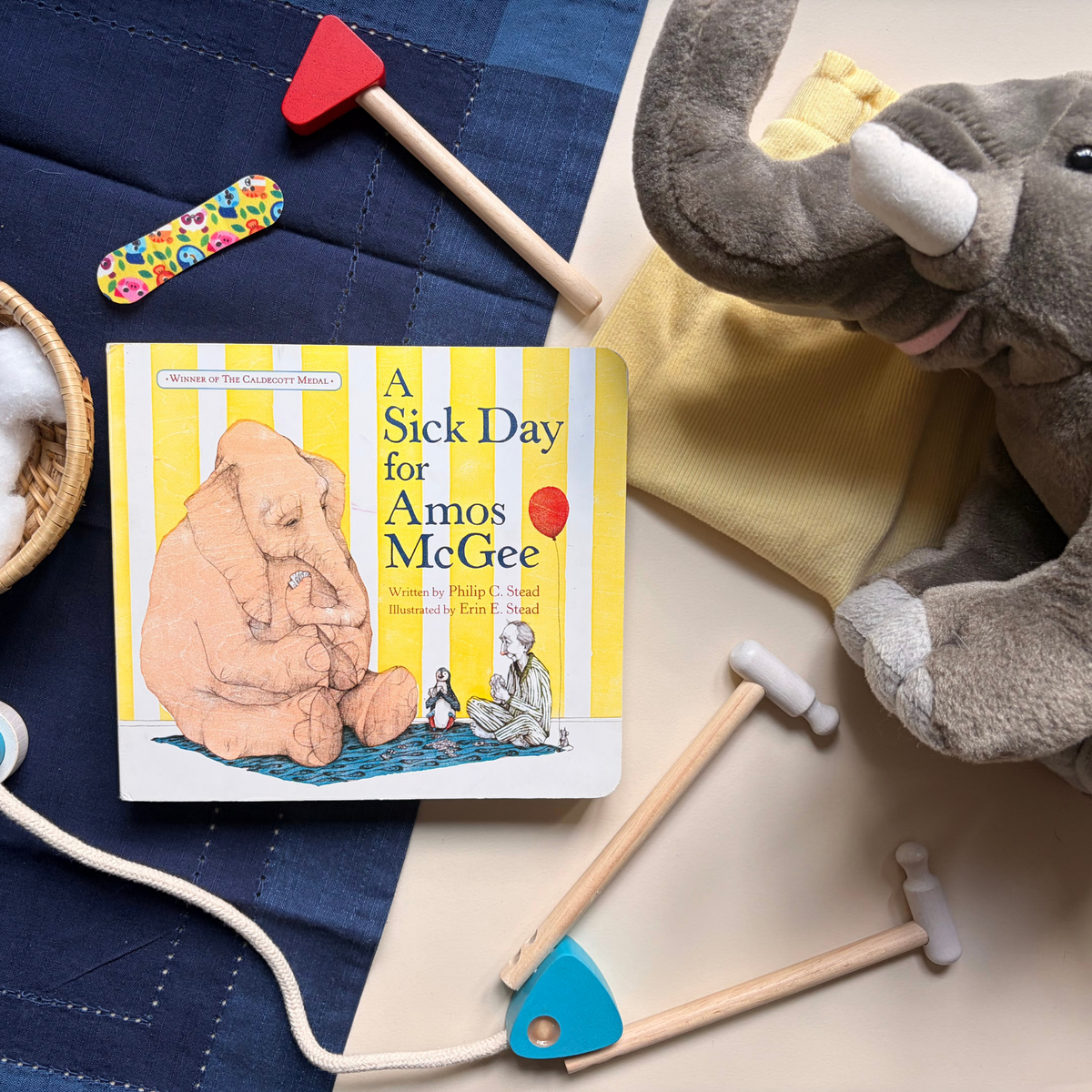 A Sick Day for Amos McGee styled with toy medical supplies and an elephant for story-led preschool play.
