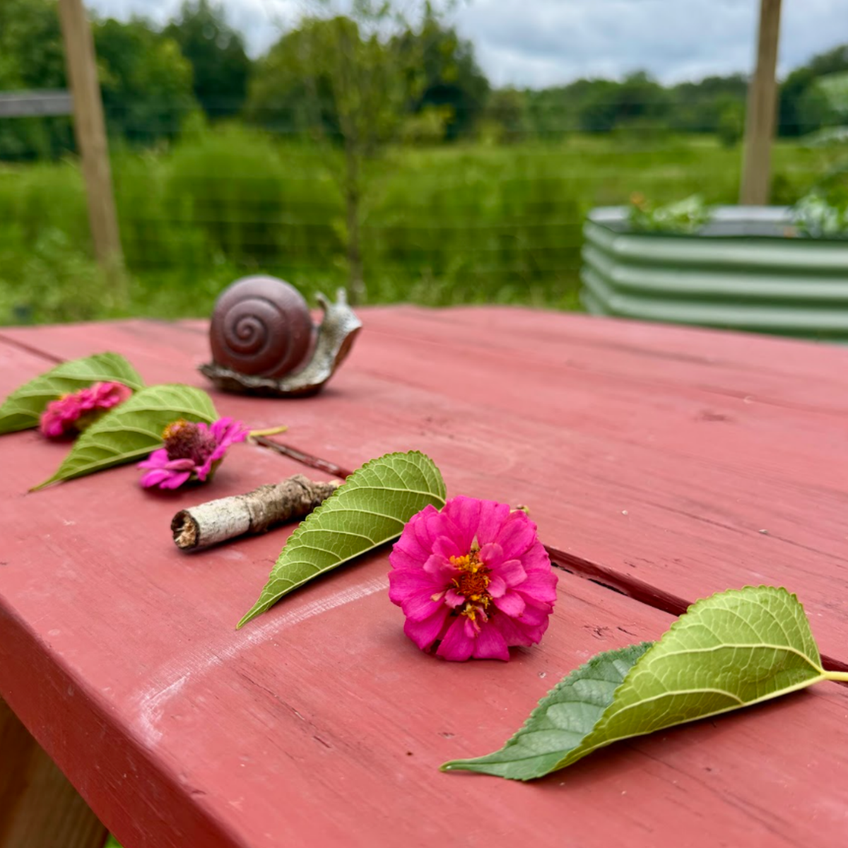 Snail, flowers, and leaves arranged outdoors for simple nature math patterns.