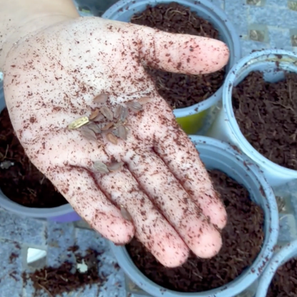 Child planting seeds and exploring soil during a hands-on garden nature activity.
